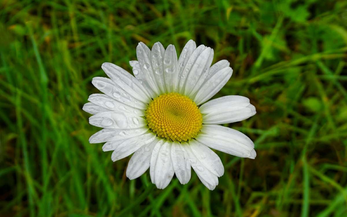 ����� ������� � �������. ����� �������� �������� �� PhotoGeek.ru #����� #�����