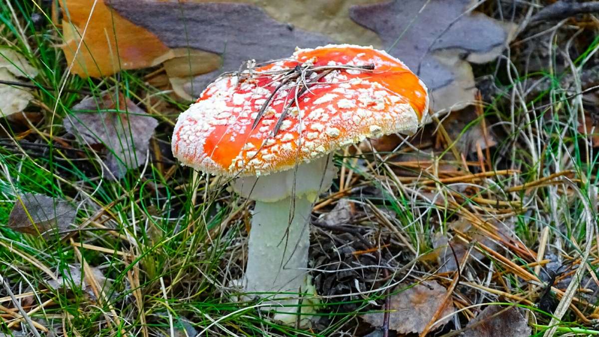 ������� � ������� ����� �������� �������� �� PhotoGeek.ru #����� #������ ��� �������