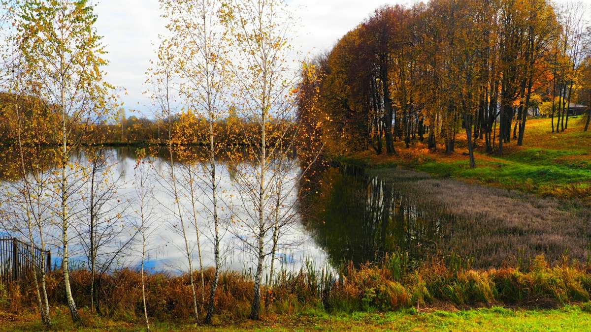 ������� ������ ����� �������� �������� �� PhotoGeek.ru #������ ��� �������