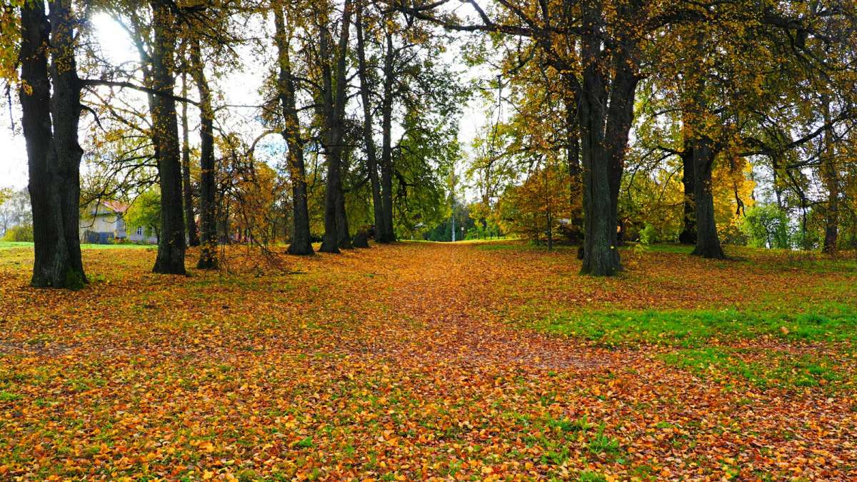 ���� �� ������� ������� ����� �������� �������� �� PhotoGeek.ru #������ ��� �������