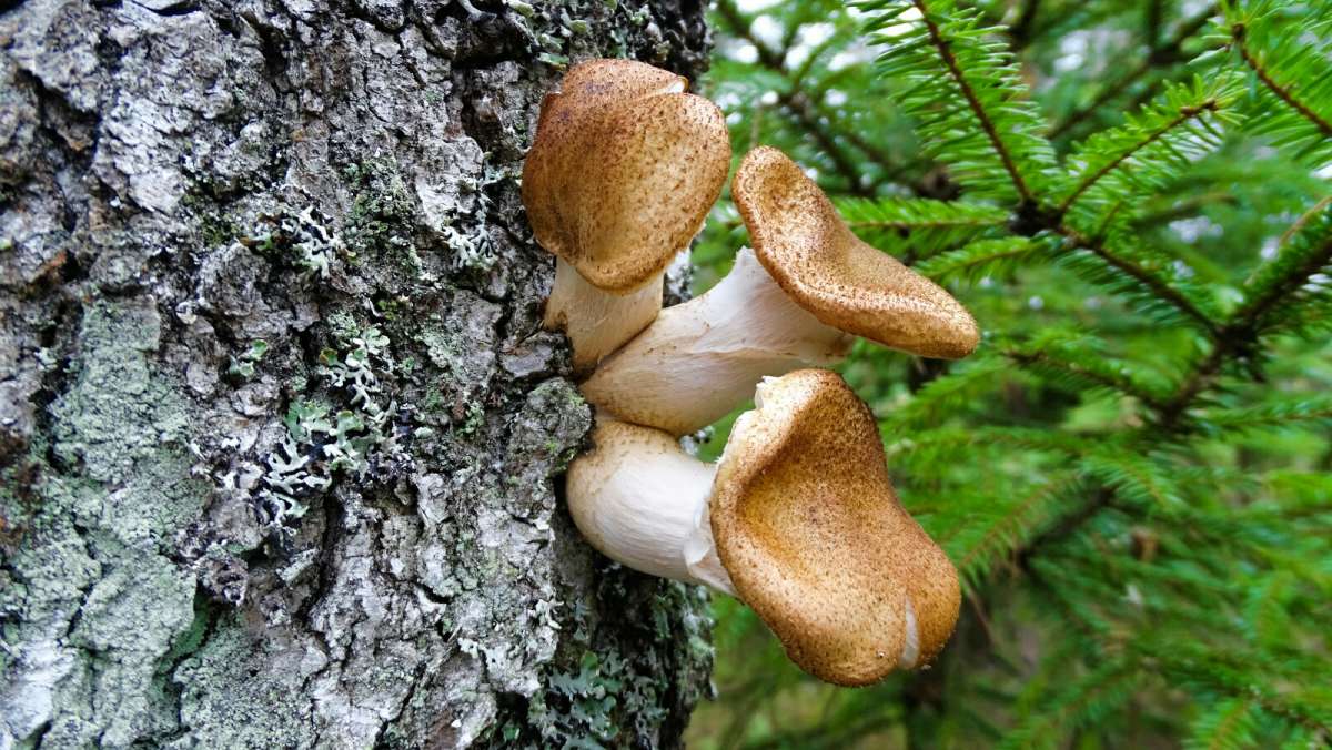 ����� � ������� ����� �������� �������� �� PhotoGeek.ru #����� #������ ��� �������