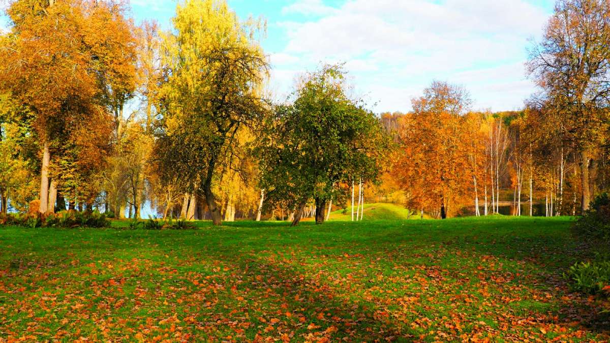 ��� ����� �������. ����� �������� �������� �� PhotoGeek.ru #������ ��� �������