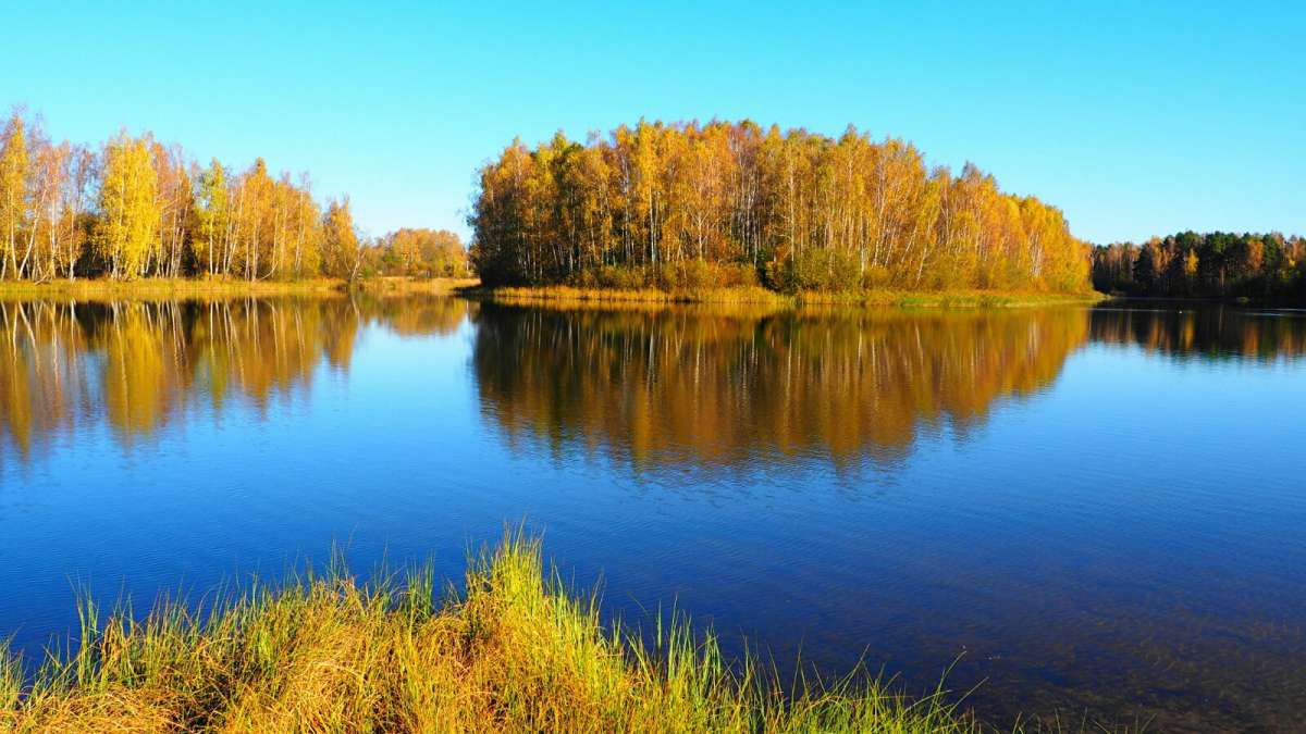 �������� ������� �����. ����� �������� �������� �� PhotoGeek.ru #������ ��� �������