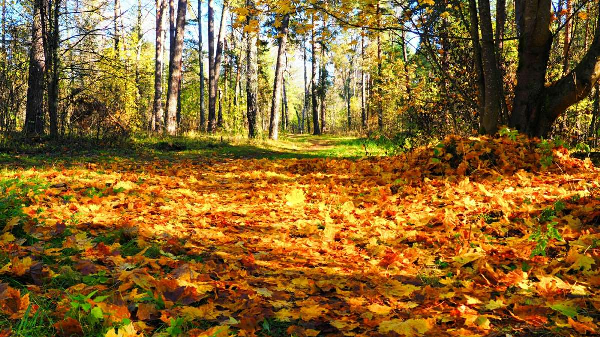 ����� ������� ����� �������� �������� �� PhotoGeek.ru #������ ��� �������
