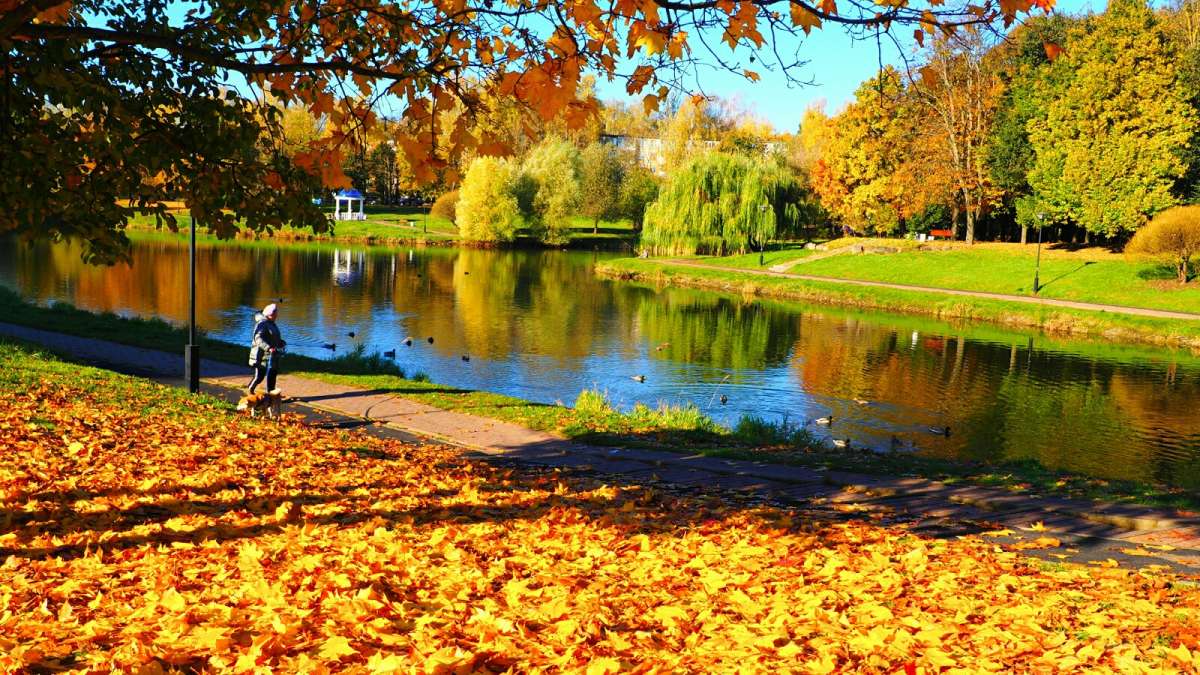 ������� ����� ����� �������� �������� �� PhotoGeek.ru #����� #������ ��� �������