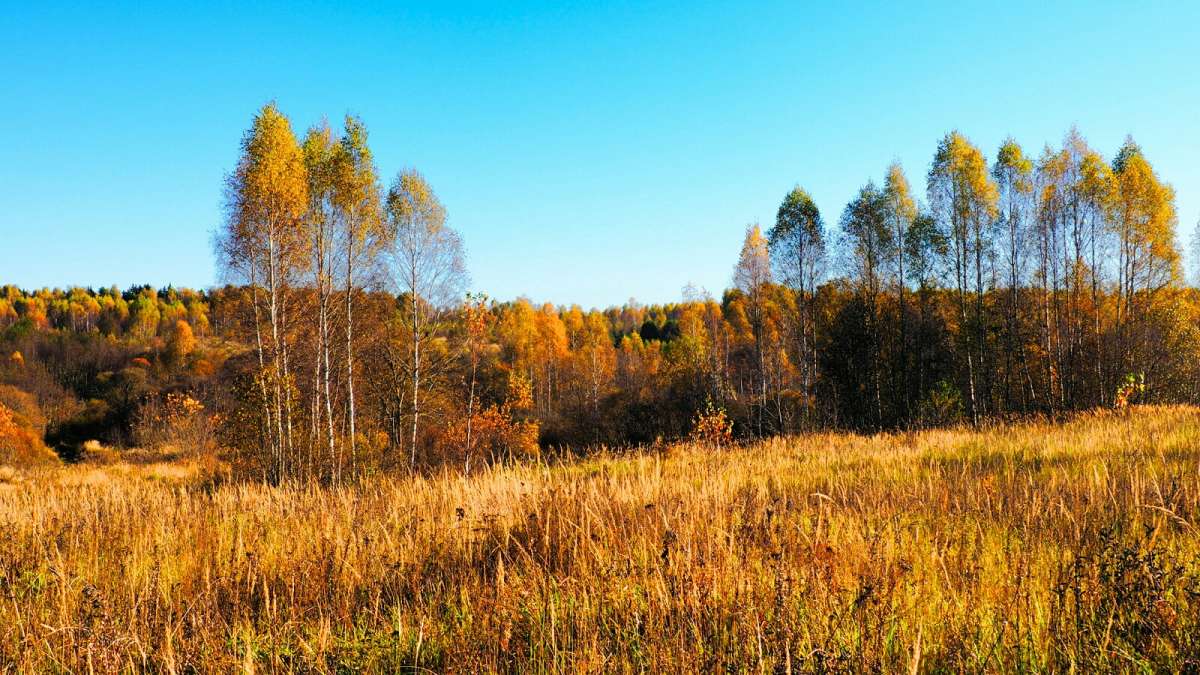 ����� � ������� ����� �������� �������� �� PhotoGeek.ru #������ ��� �������