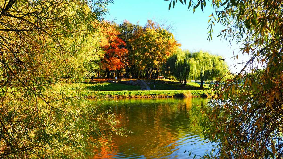 �������� ����� ����� �������� �������� �� PhotoGeek.ru #����� #������ ��� �������