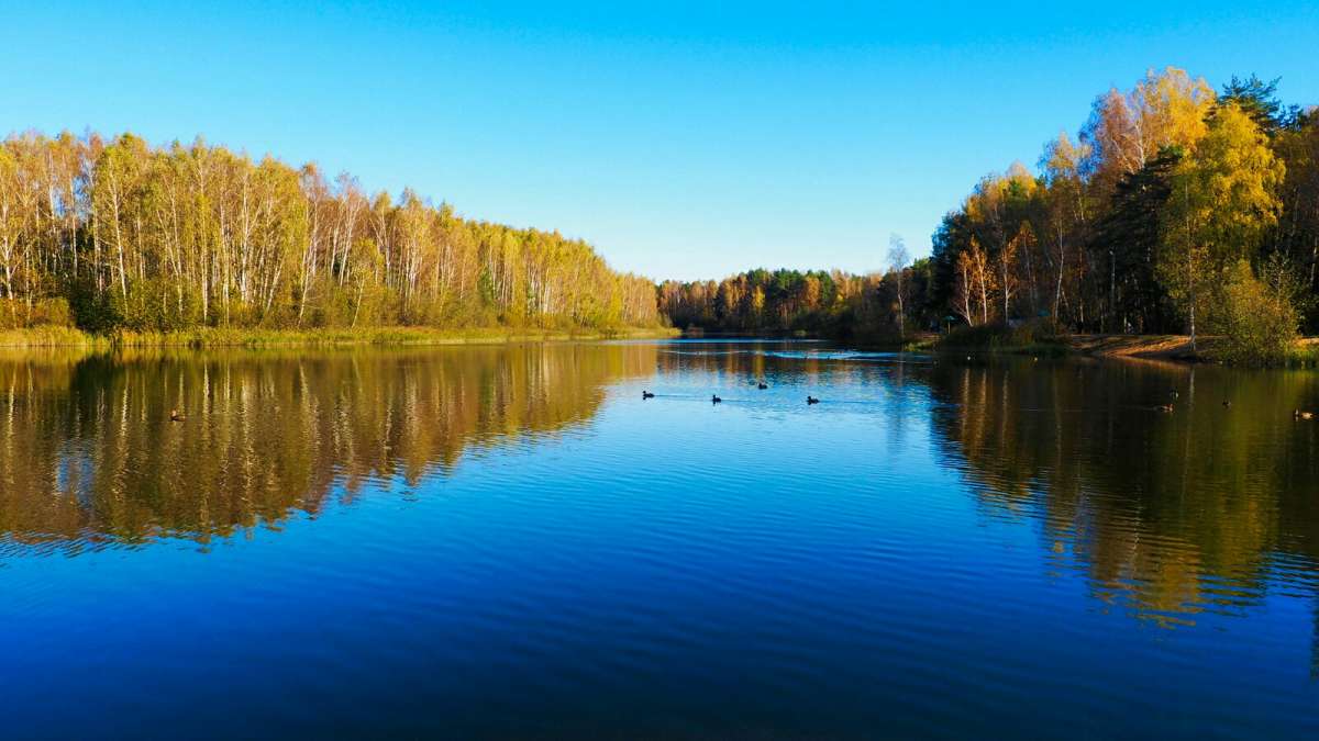 ���������� ����� ����� �������� �������� �� PhotoGeek.ru #������ ��� �������