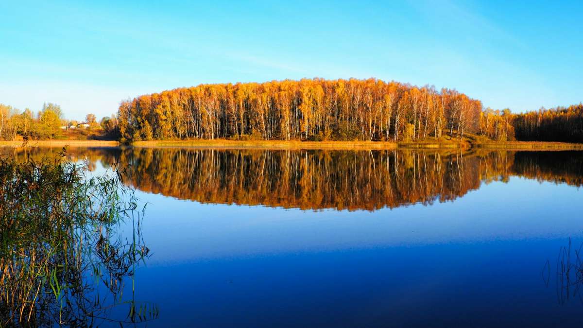 ��� ���������� ����� �������� �������� �� PhotoGeek.ru #������ ��� �������