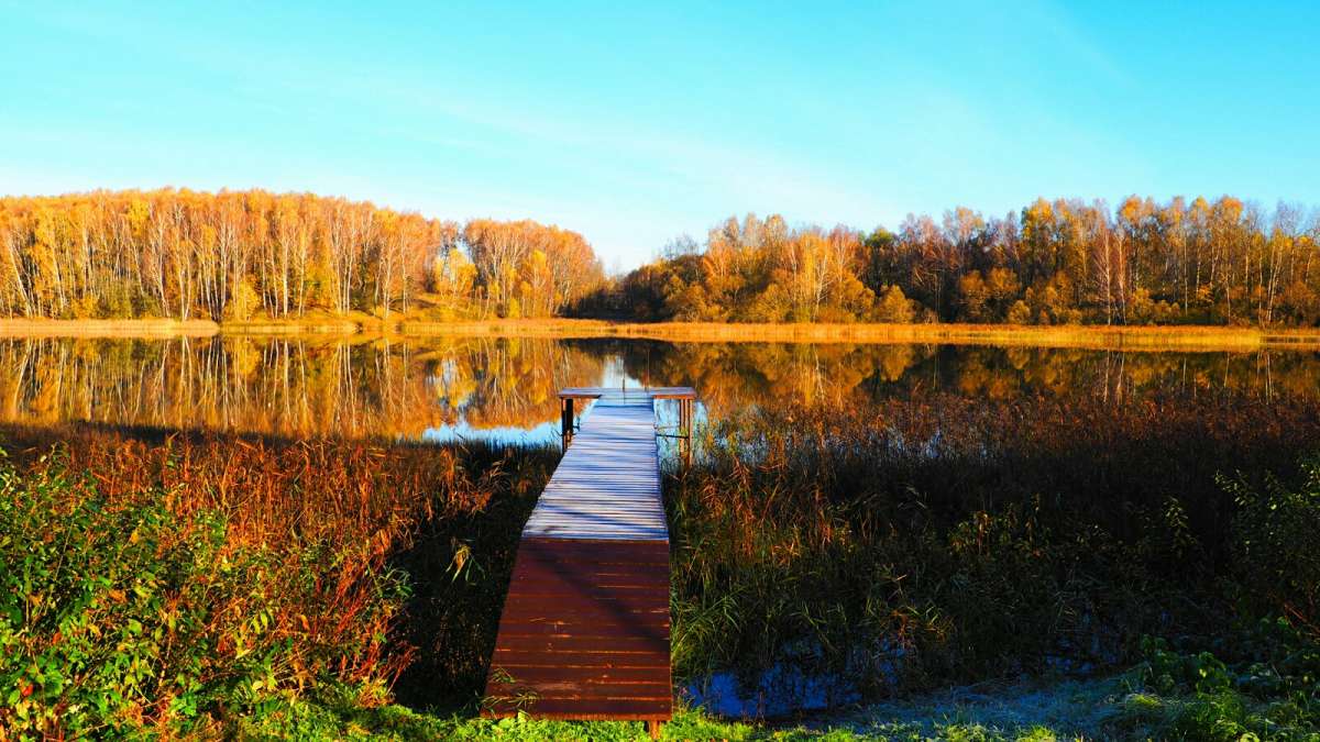 ��� ����� �������. ����� �������� �������� �� PhotoGeek.ru #������ ��� �������