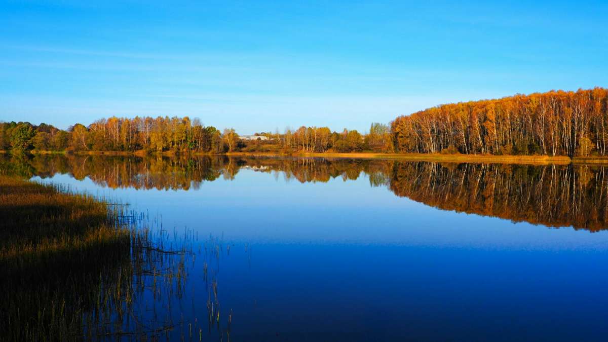 ��� ���� ����� �������� �������� �� PhotoGeek.ru #������ ��� �������