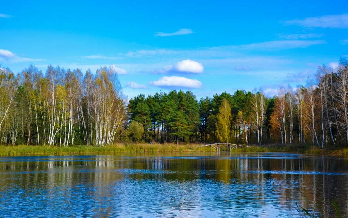 ������� ���� ����� �������� �������� �� PhotoGeek.ru #������ ��� �������