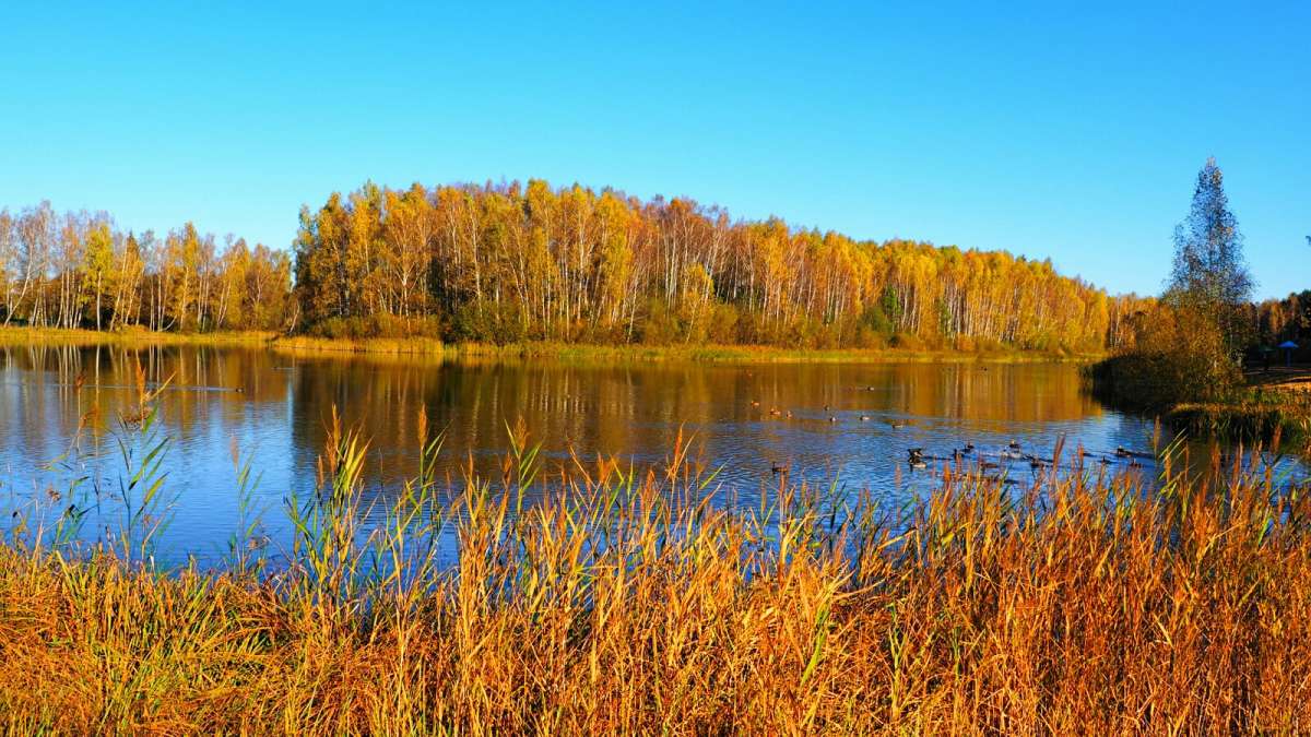 ������� � ����� �������� �������� �� PhotoGeek.ru #������ ��� �������