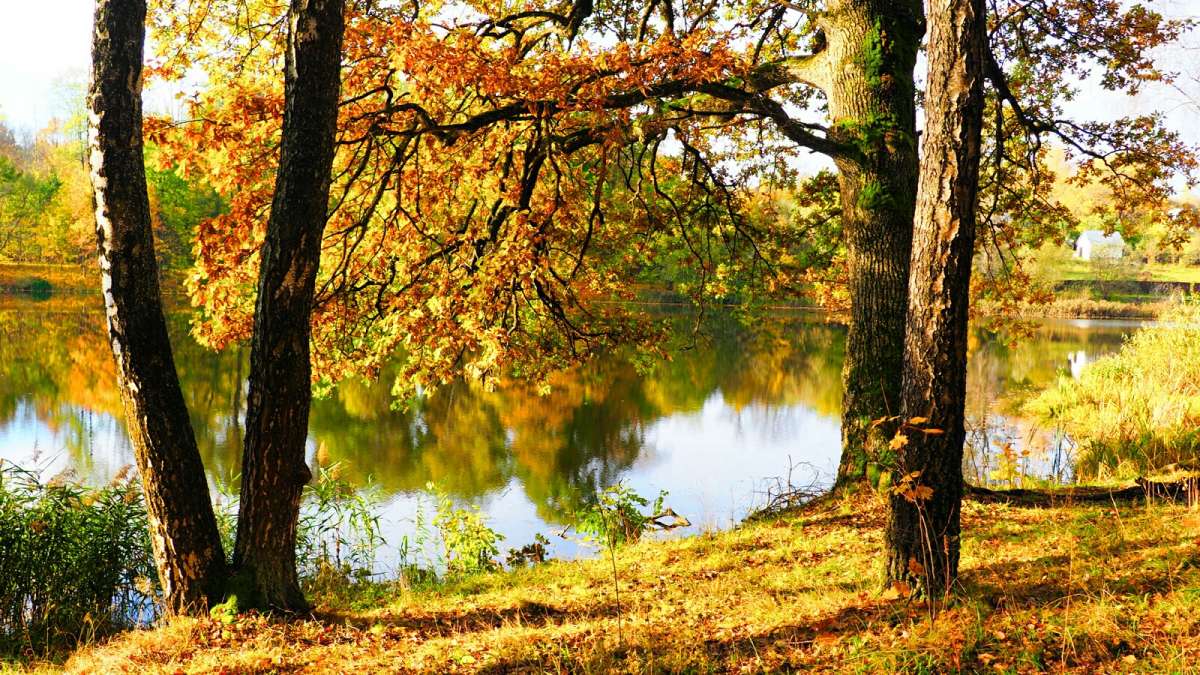 ���������� � ������� ����� �������� �������� �� PhotoGeek.ru #������ ��� �������