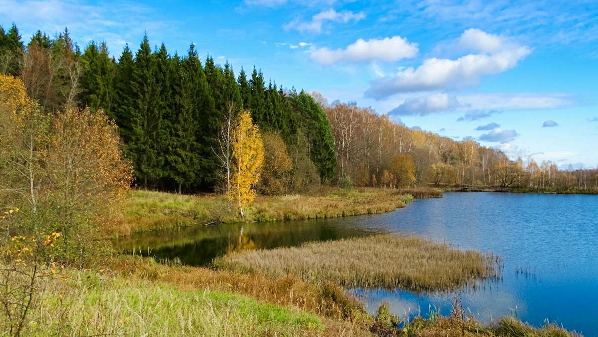 ����� � ������� ����� �������� �������� �� PhotoGeek.ru #������ ��� �������