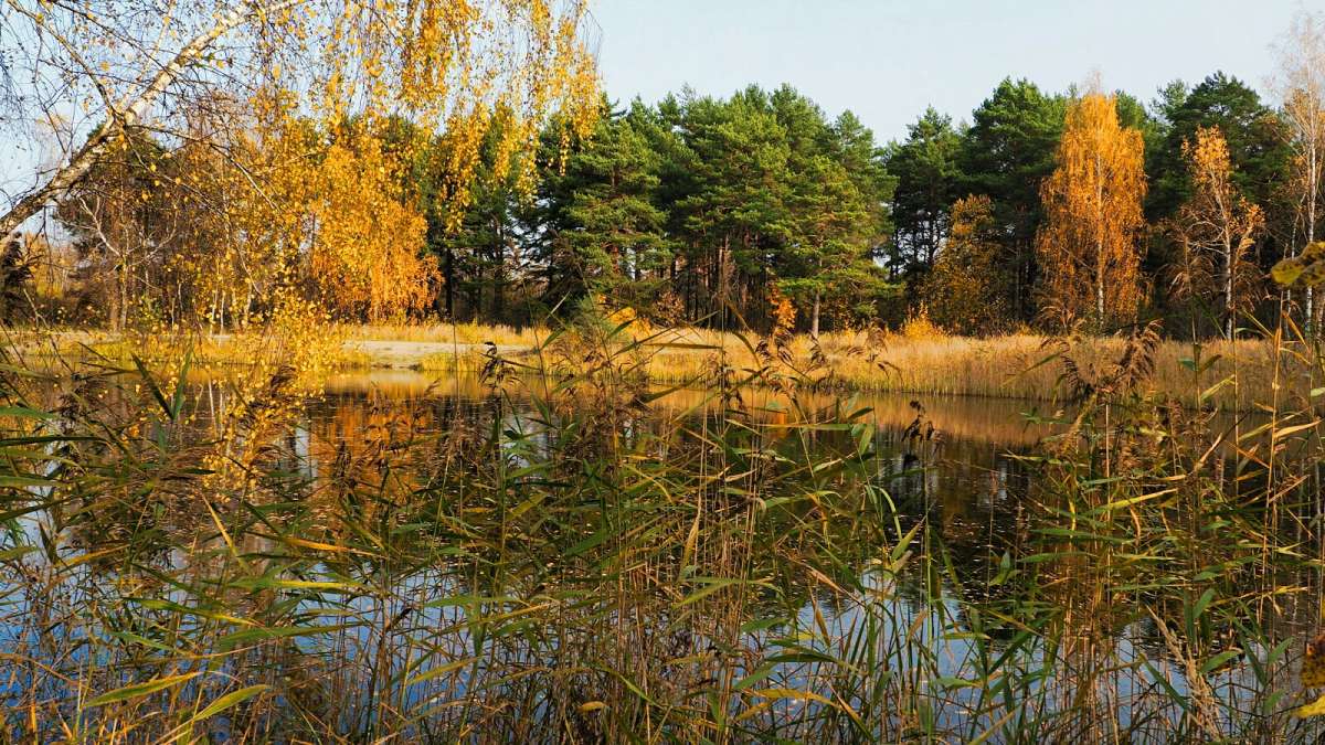 ��� ����� ����� �������� �������� �� PhotoGeek.ru #������ ��� �������