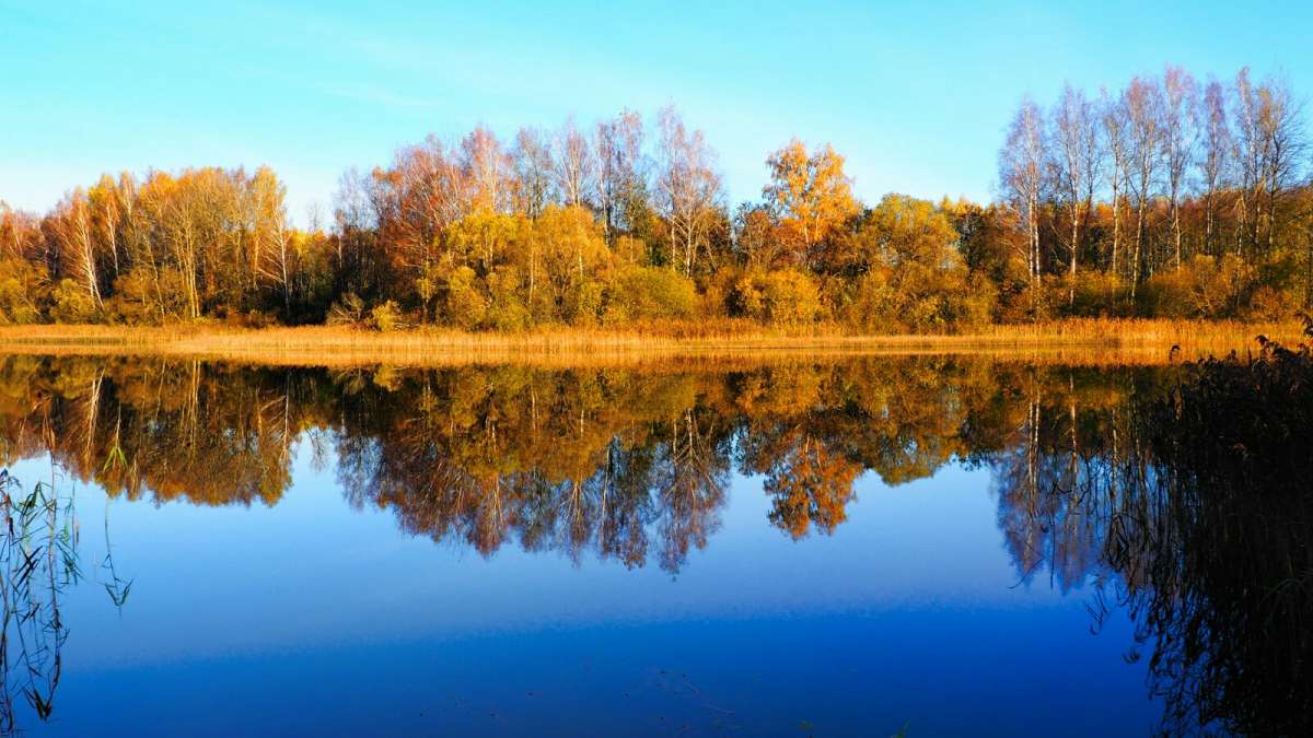 ���������� ��������� ����� �������� �������� �� PhotoGeek.ru #������ ��� �������