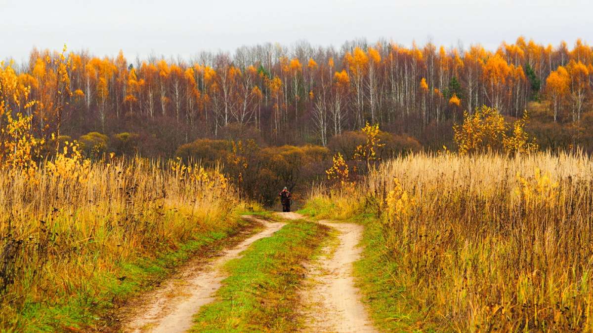 �������� ������� ����� �������� �������� �� PhotoGeek.ru #������ ��� �������