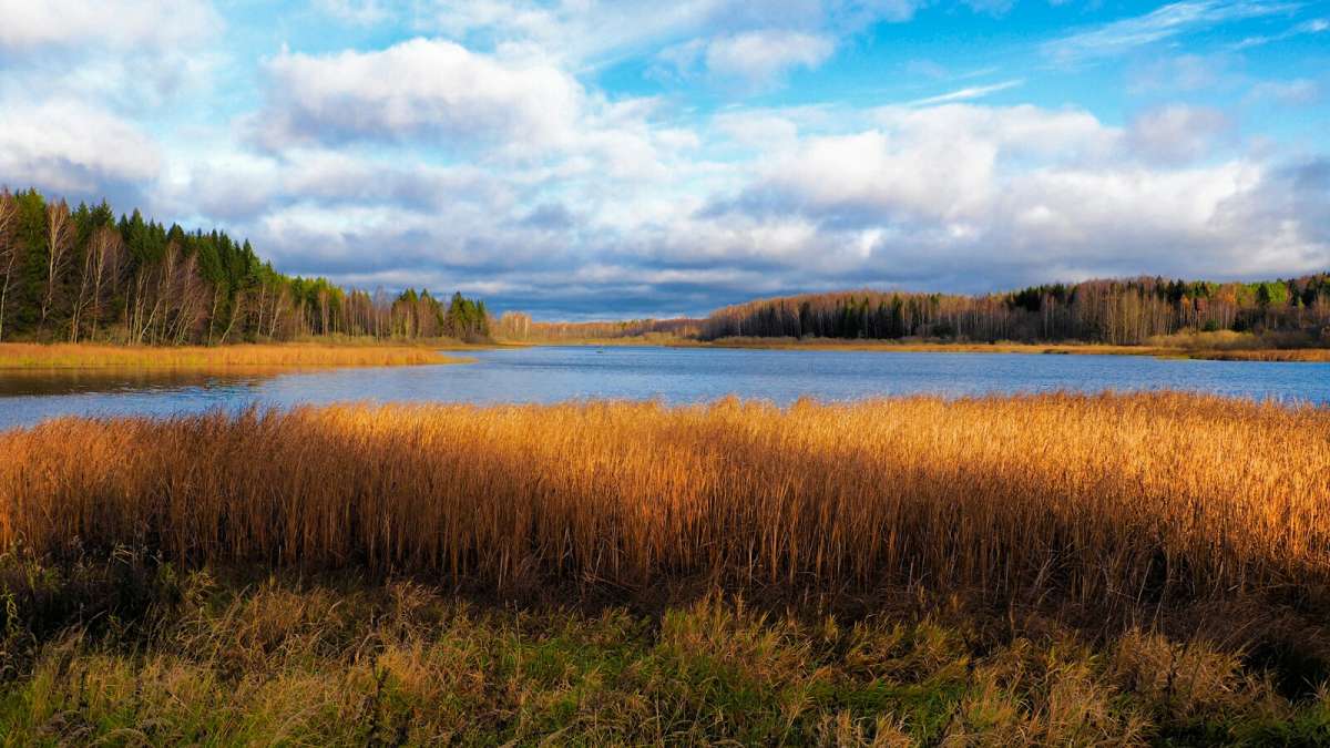 ������� � ��������� ���� ������� ����� �������� �������� �� PhotoGeek.ru #������ ��� �������