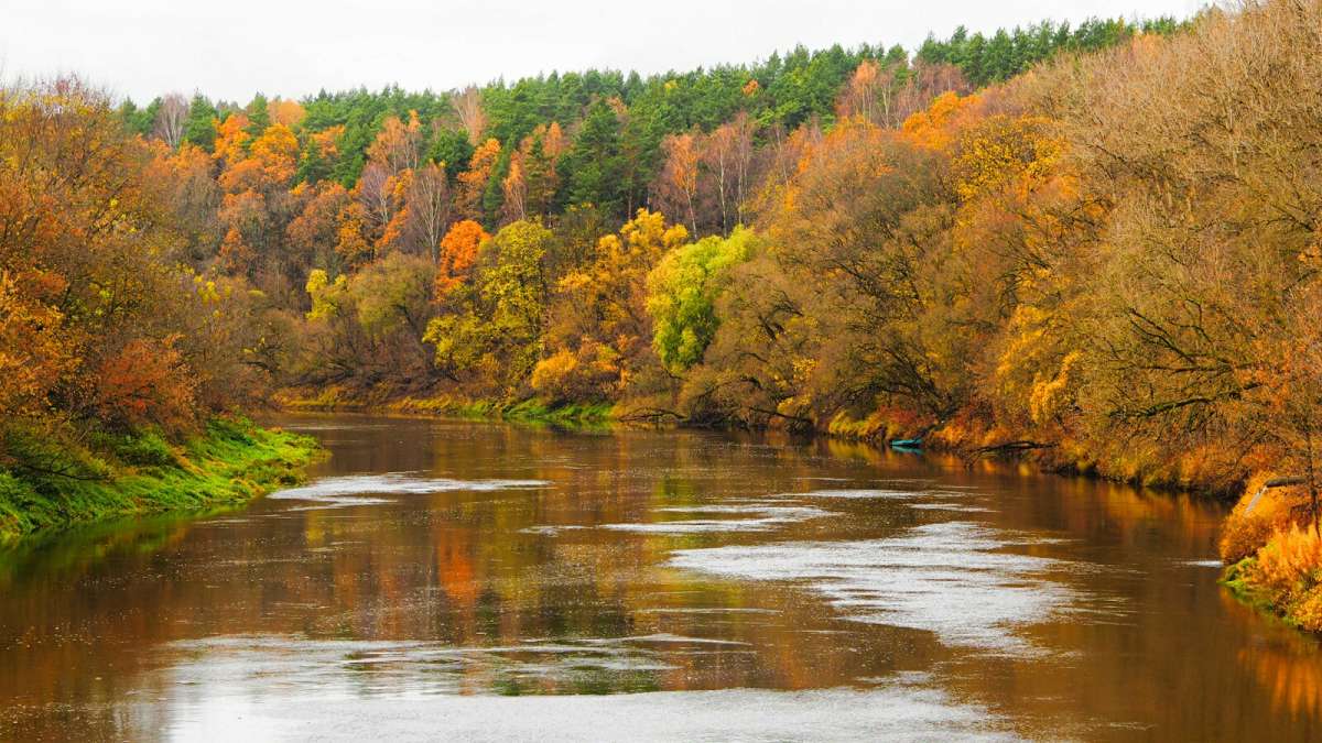 ���������� ����� ����� �������� �������� �� PhotoGeek.ru #������ ��� �������