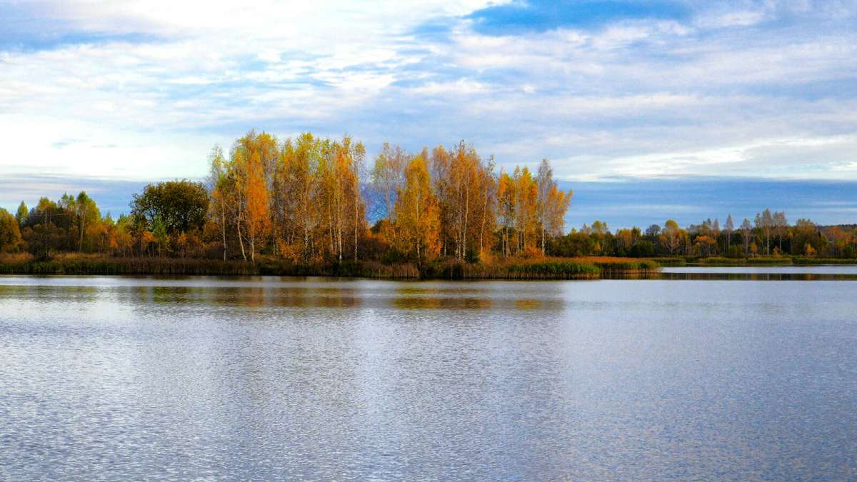 Березовая роща ульяновск