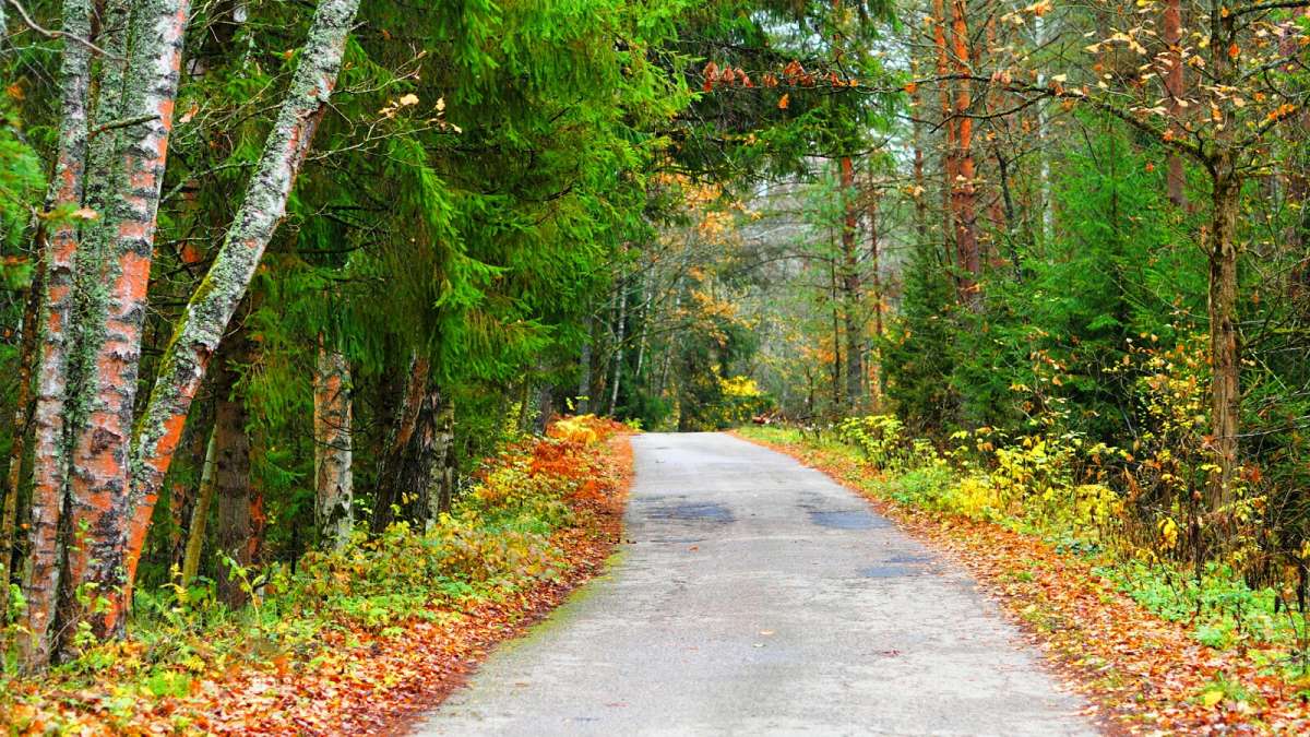 ������ �������� ���� ����� �������� �������� �� PhotoGeek.ru #������ ��� �������