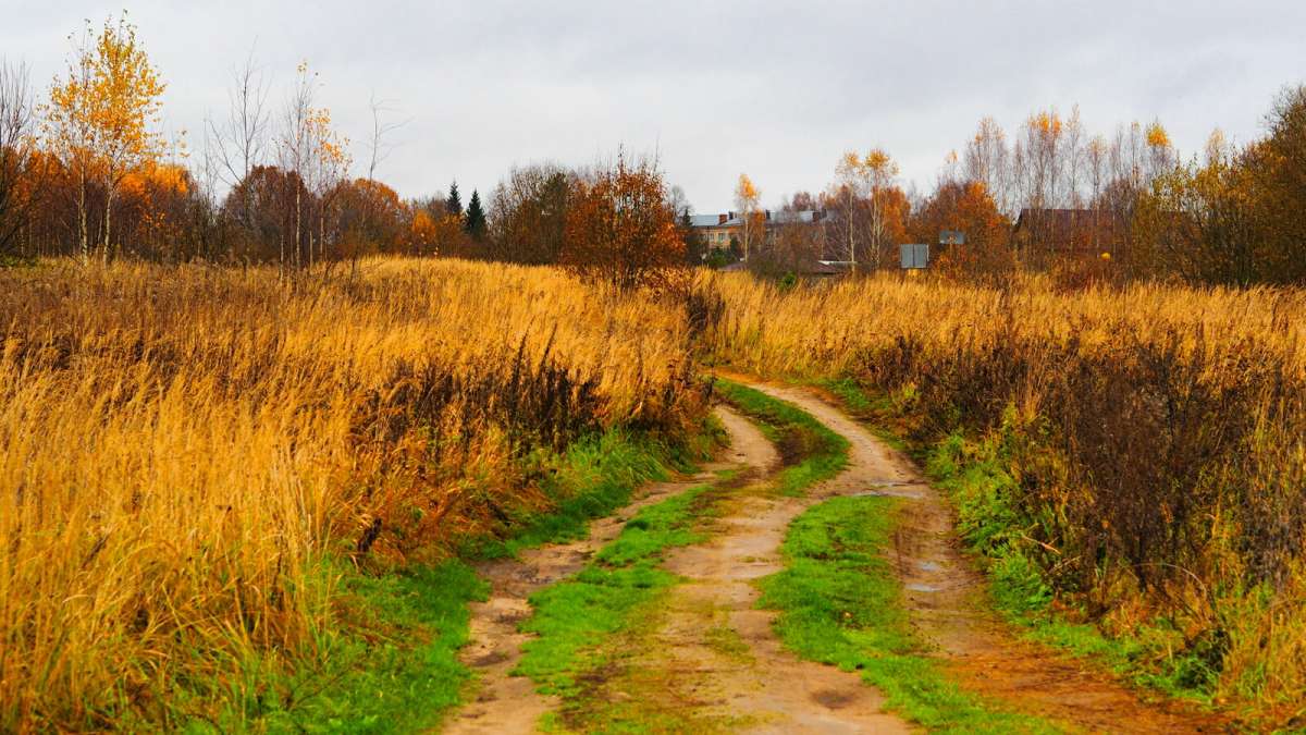 ������ � ������� ����. ����� �������� �������� �� PhotoGeek.ru #������ ��� �������