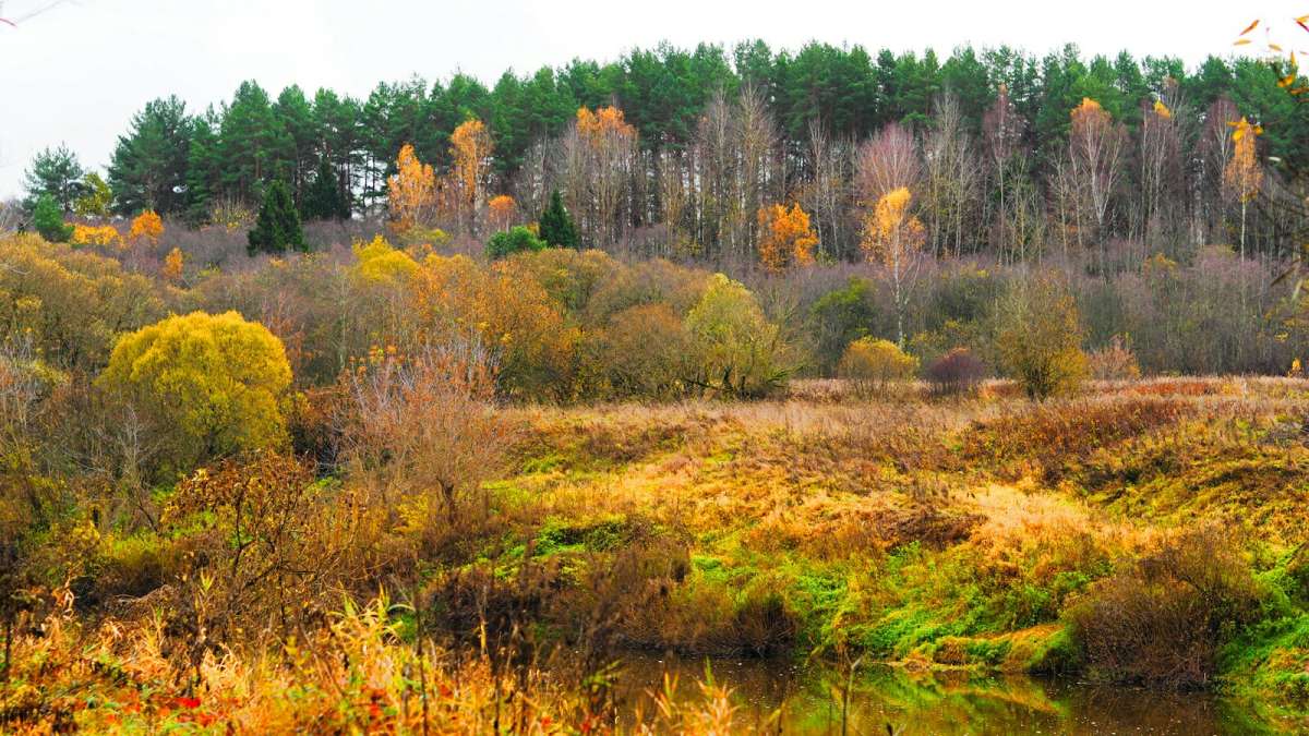 ����� ������ ����� �������. ����� �������� �������� �� PhotoGeek.ru #������ ��� �������