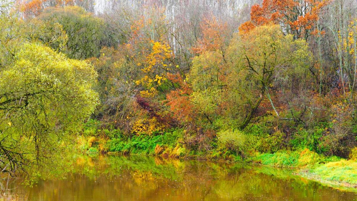 ����� ������ ������������ ������. ����� �������� �������� �� PhotoGeek.ru #������ ��� �������