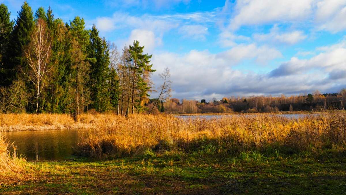 � ��������� ���� �������. ����� �������� �������� �� PhotoGeek.ru #������ ��� �������