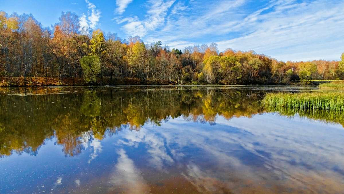 ����� - ������� ����� �������� �������� �� PhotoGeek.ru #������ ��� �������