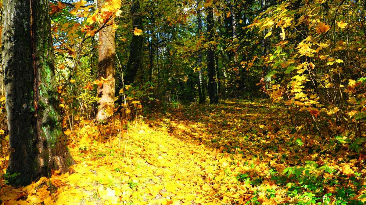 �������� ��� ������� ����� �������� �������� �� PhotoGeek.ru #������ ��� �������