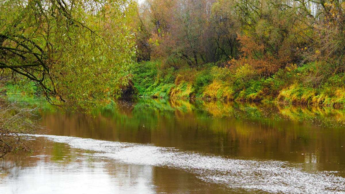 ������ ������ ����� �������� �������� �� PhotoGeek.ru #������ ��� �������