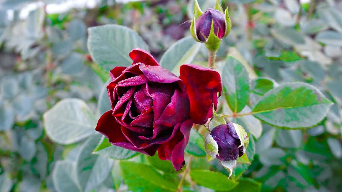 �������� ���� �� ������� ���������. ����� �������� �������� �� PhotoGeek.ru #����� #�����