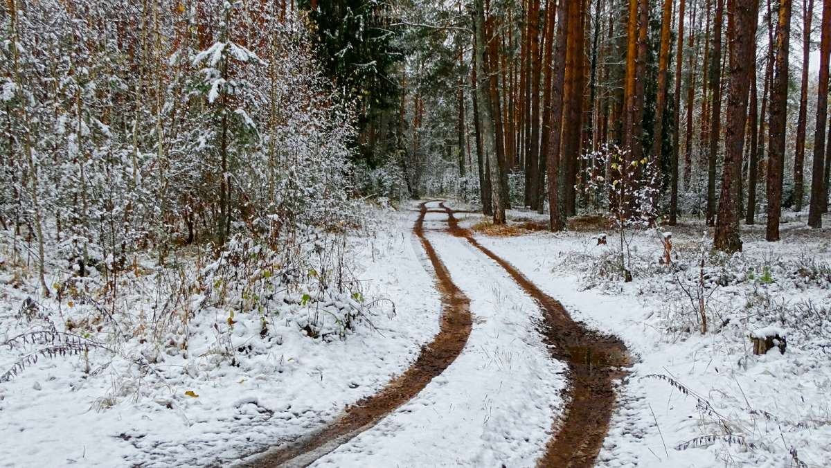 ����� � ��������� ���� ���-�� ���������� ����. ����� �������� �������� �� PhotoGeek.ru #������ ��� �������
