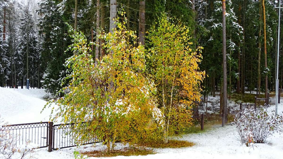 ����� � ������. ����� �������� �������� �� PhotoGeek.ru #������ ��� �������
