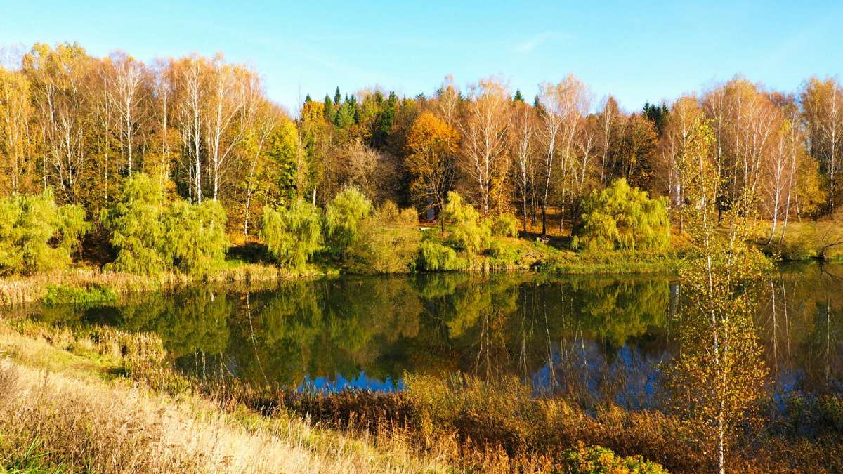 ��� ����� �������. ����� �������� �������� �� PhotoGeek.ru #������ ��� �������