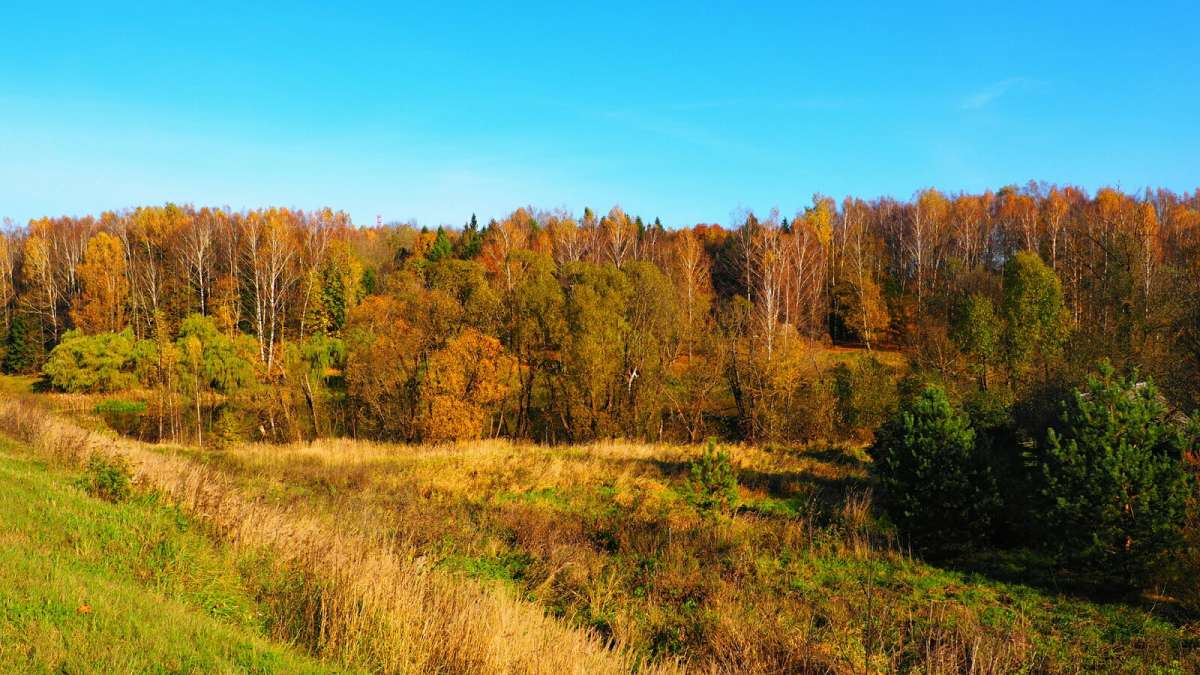 ����� � ������� ����� �������� �������� �� PhotoGeek.ru #������ ��� �������