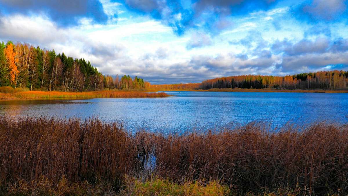 ���������� ���� ����� �������� �������� �� PhotoGeek.ru #������ ��� �������