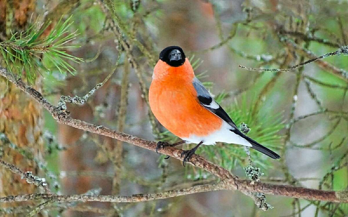 ��������� � ����������� ���� �������. ����� �������� �������� �� PhotoGeek.ru #�������� ���