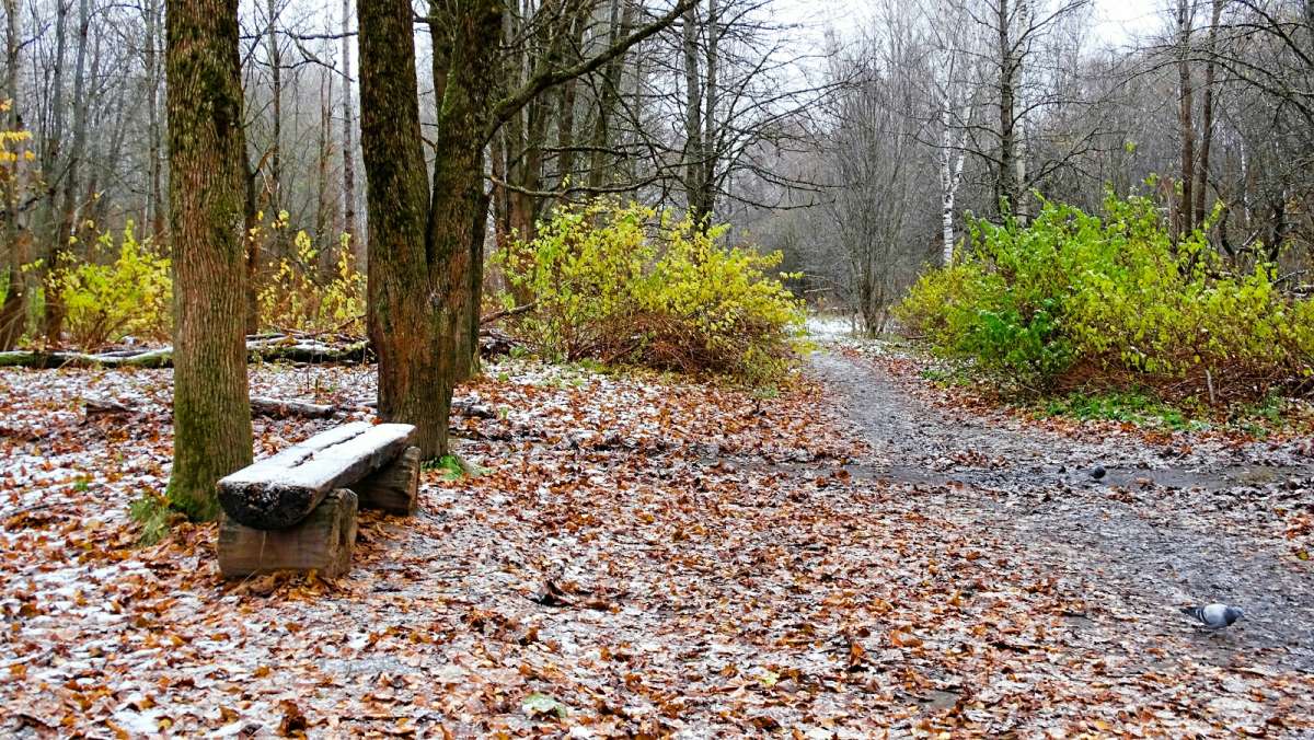 ������ ������� �����. ����� �������� �������� �� PhotoGeek.ru #����� #������ ��� �������