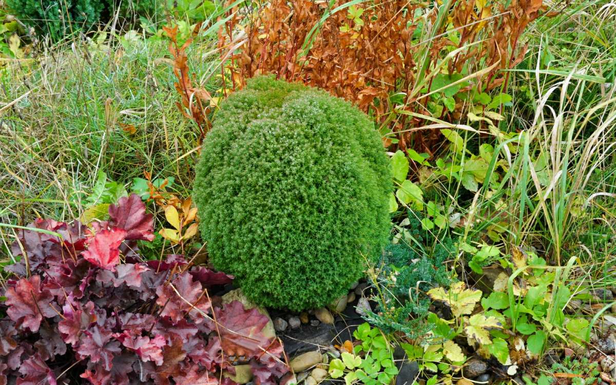 �� ��������� ������ � ������. ����� �������� �������� �� PhotoGeek.ru #����� #����� #������ ��� �������