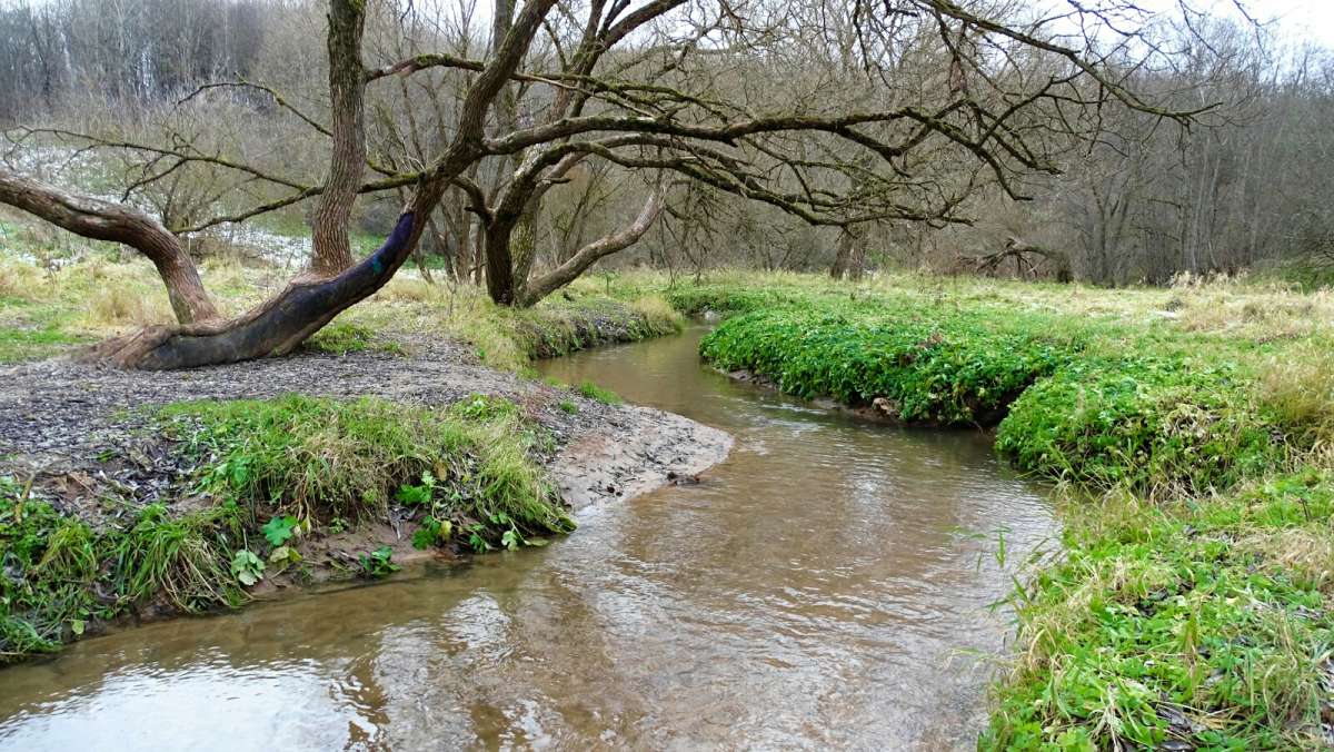 ��������� ���� � ������ ����� �������� �������� �� PhotoGeek.ru #����� #������ ��� �������