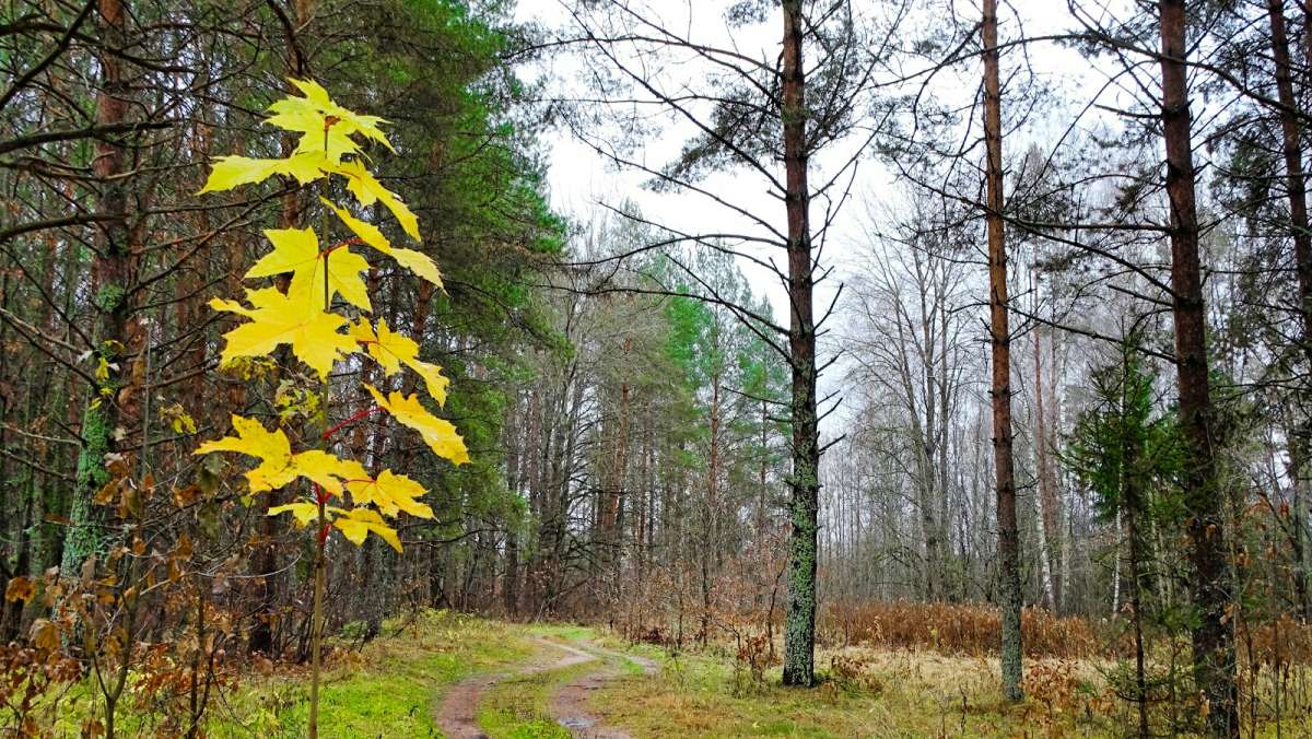 ��� � ������ ����� �������� �������� �� PhotoGeek.ru #������ ��� �������