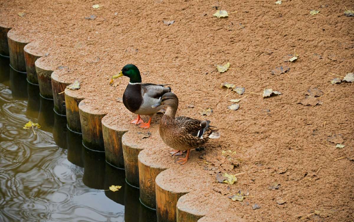 �������� ����:"������� ��� �� ������ �������?" ����� �������� �������� �� PhotoGeek.ru #����� #�������� ���