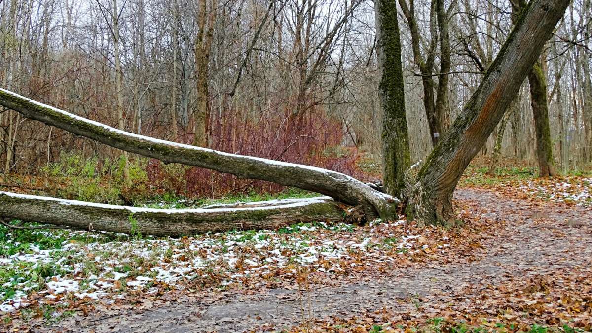 � ��������� �����. ����� �������� �������� �� PhotoGeek.ru #����� #������ ��� �������