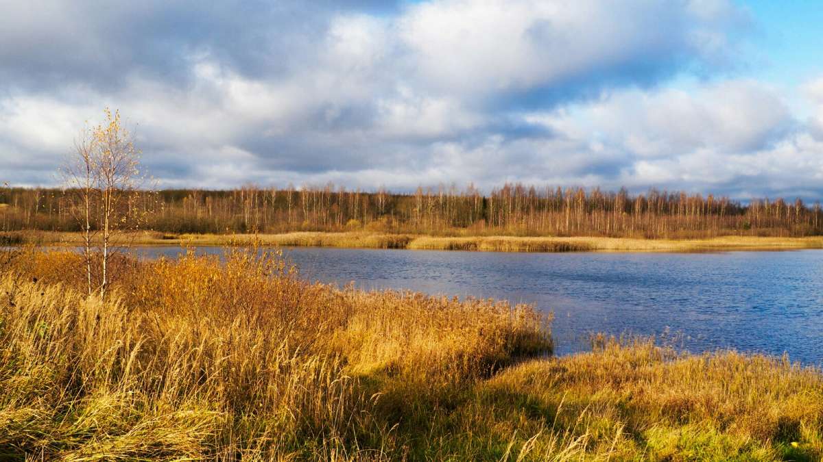 ����� ���� ������� � ������� ����� �������� �������� �� PhotoGeek.ru #������ ��� �������