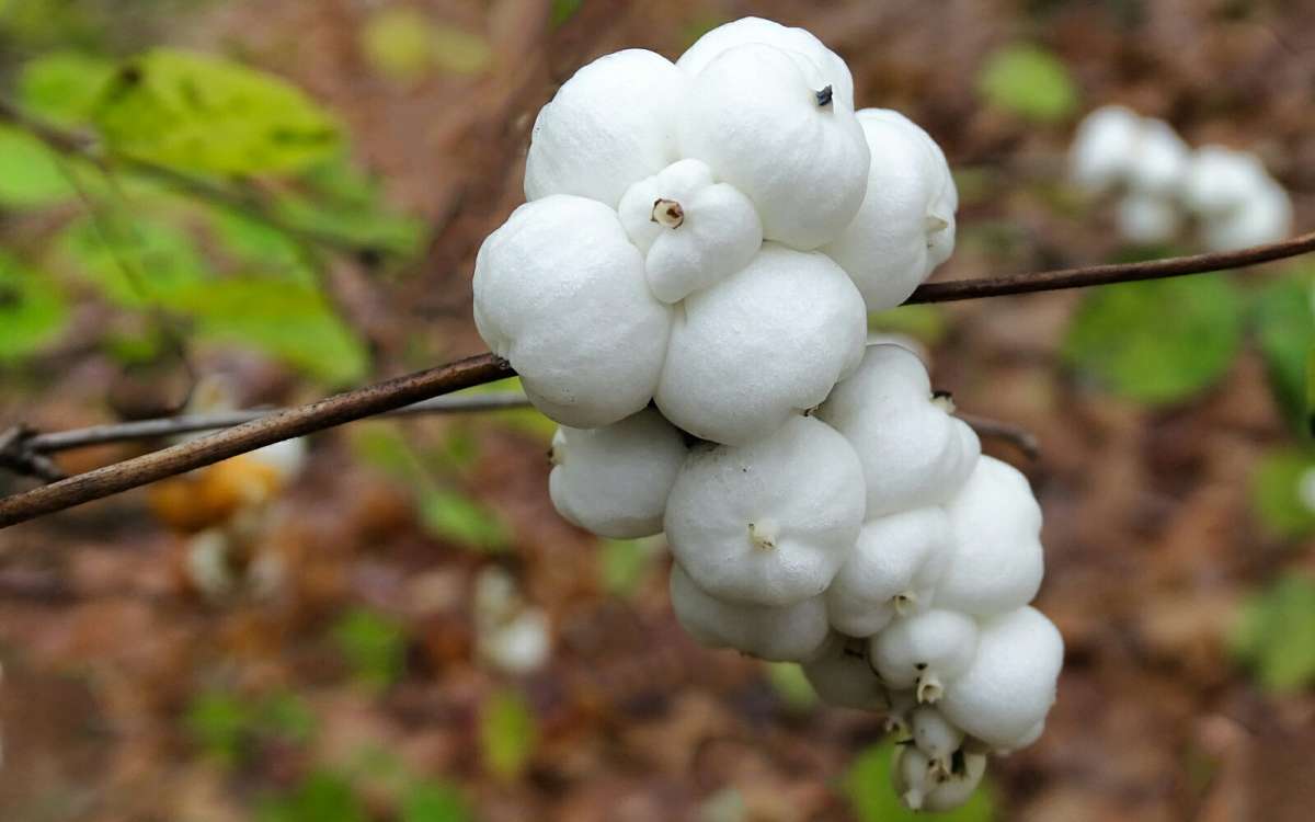 ������������� ����� �������� �������� �� PhotoGeek.ru #����� #�����