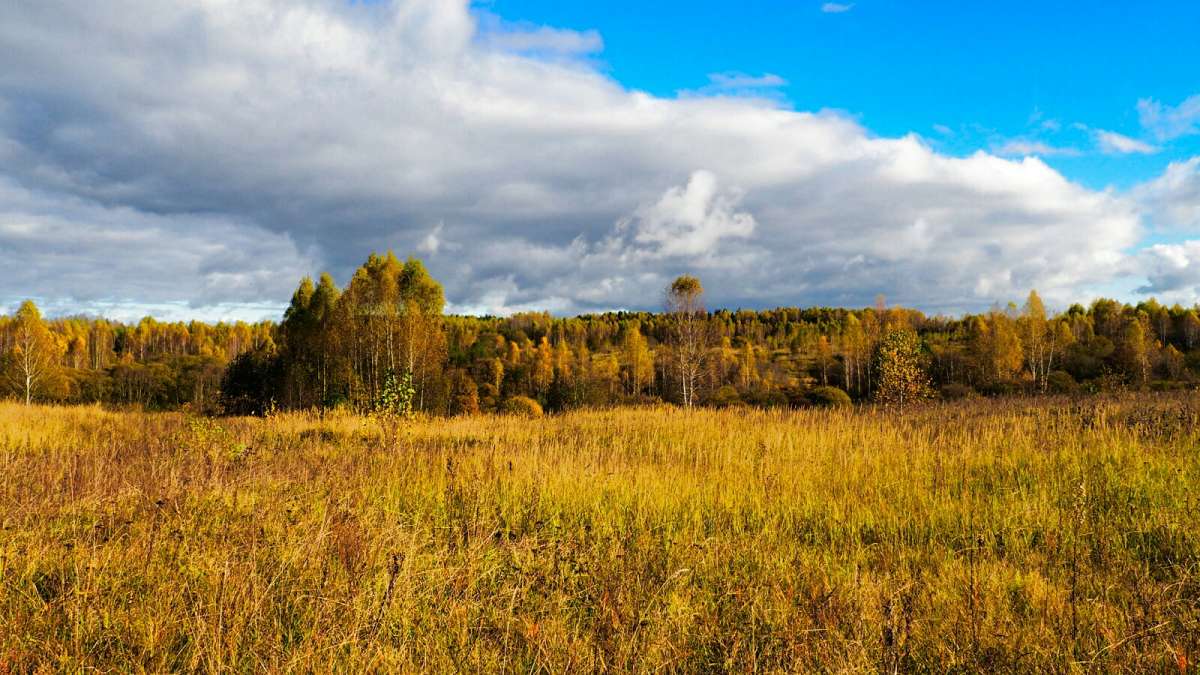 �������� ������� ����� ����� �������� �������� �� PhotoGeek.ru #������ ��� �������