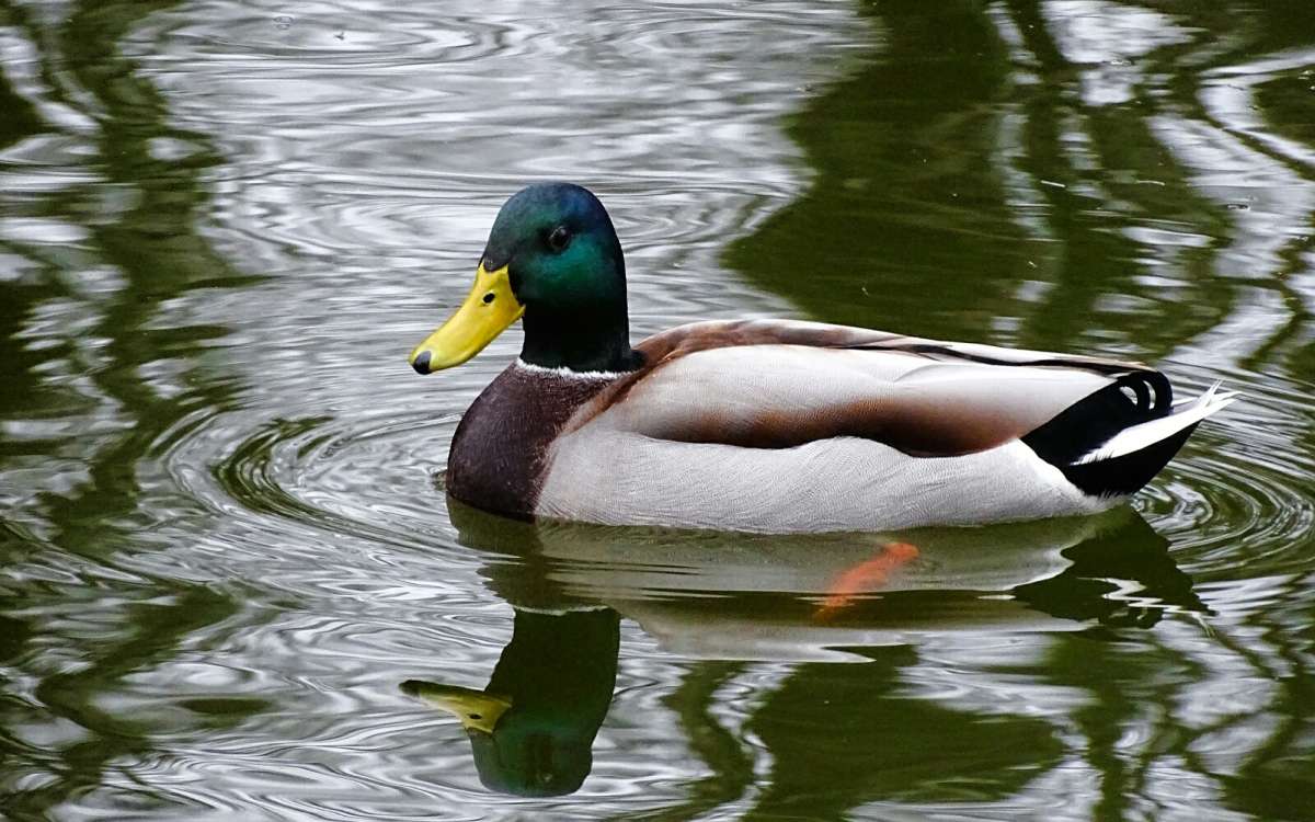 �������� �� ���� ����� ����� �������� �������� �� PhotoGeek.ru #����� #�������� ���